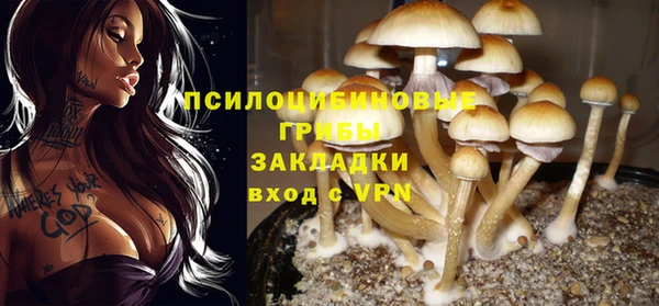 винт Вяземский