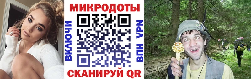 купить   Славянск-на-Кубани  Псилоцибиновые грибы ЛСД 